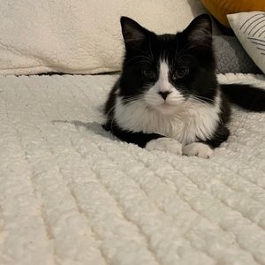 Meet your Posher, Alexis